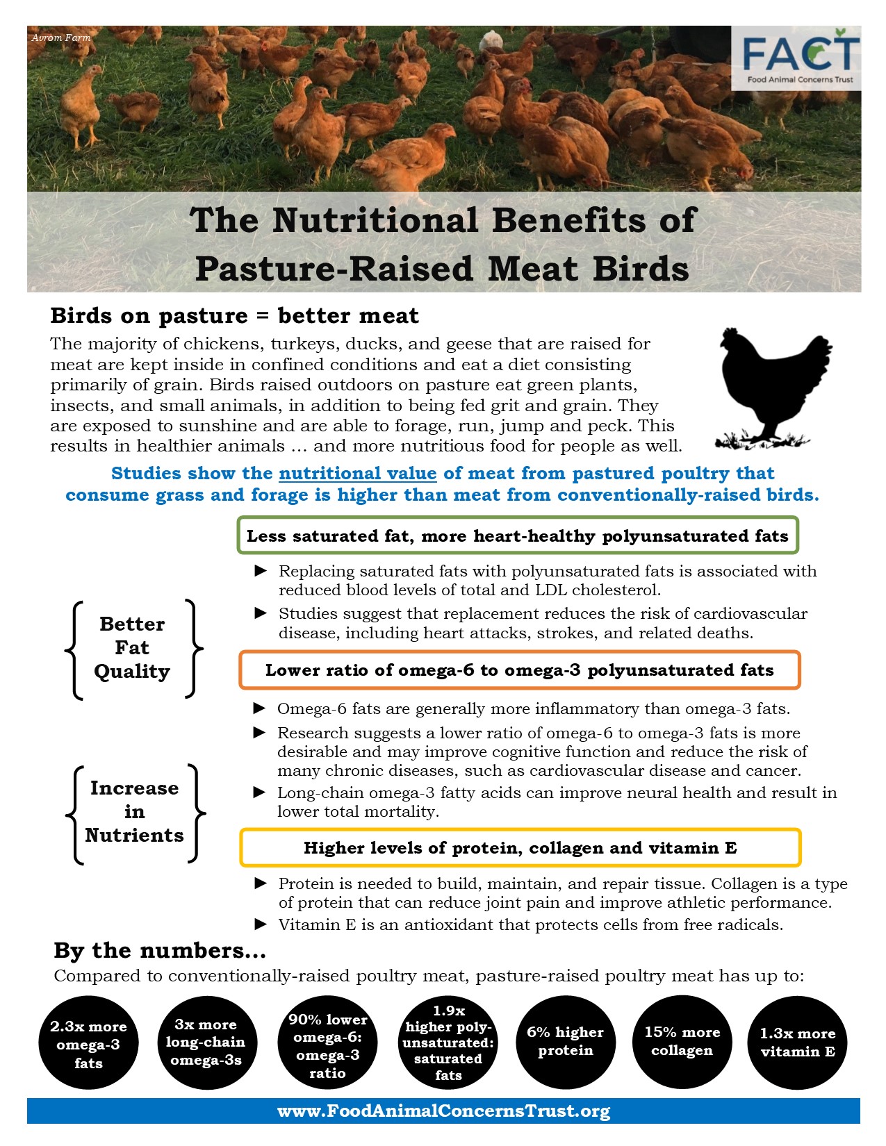 FACT+handout+-+Meat+birds+-+front.jpg