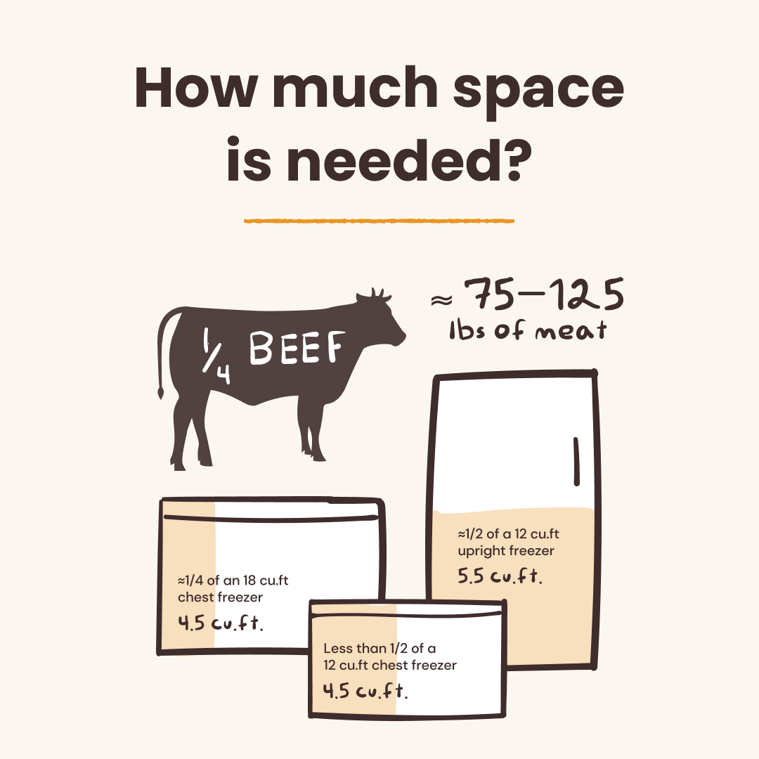 Freezer Space_Beef.png